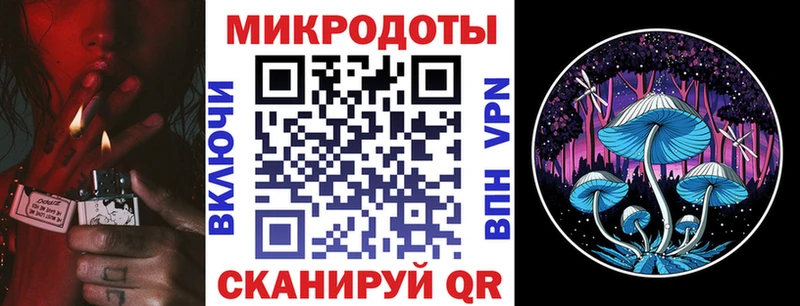 цена   Стародуб  Галлюциногенные грибы мицелий 